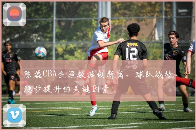 陈磊CBA生涯数据创新高，球队战绩稳步提升的关键因素